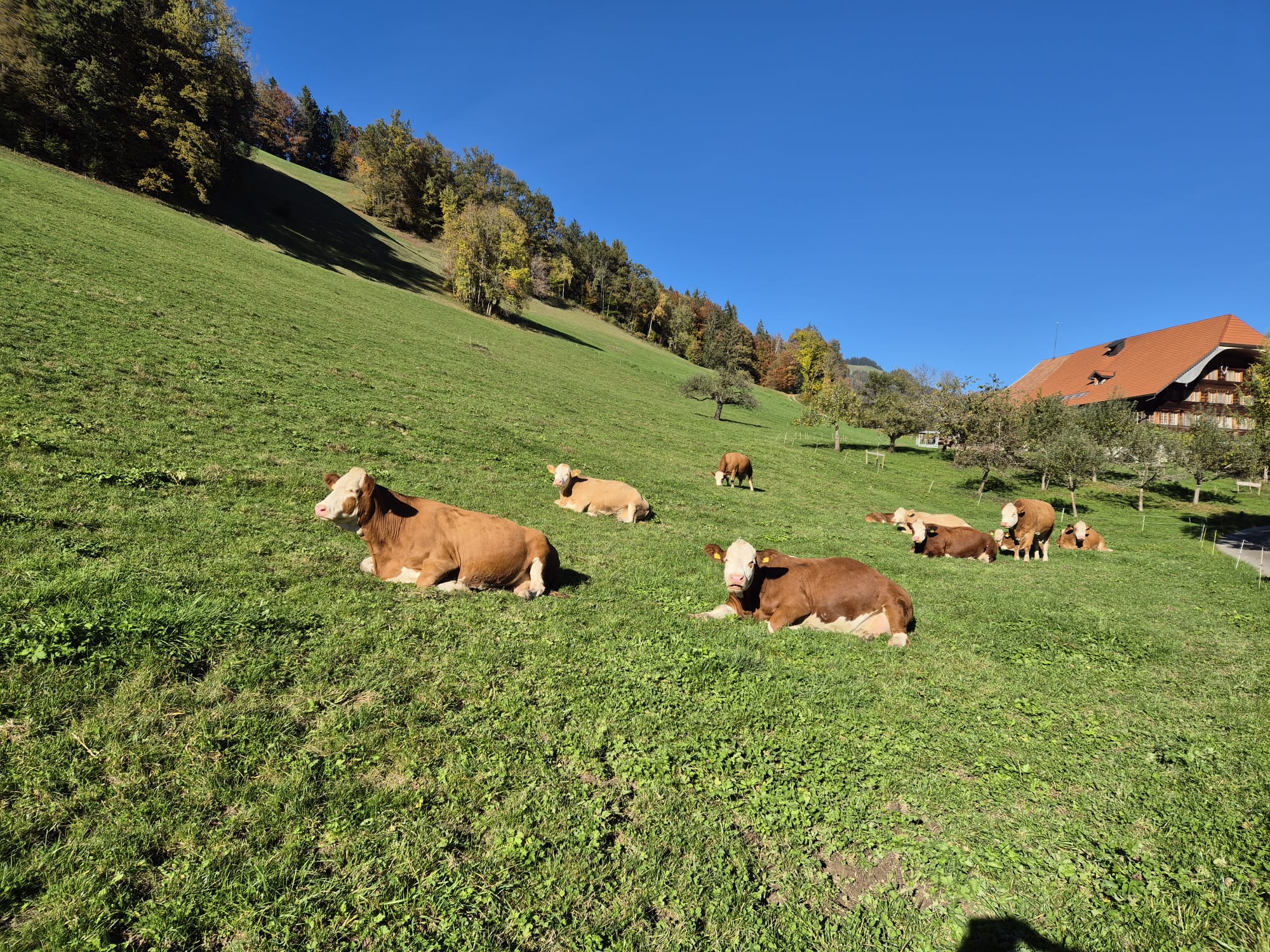 Einblicke in die Bio-Branche (1)